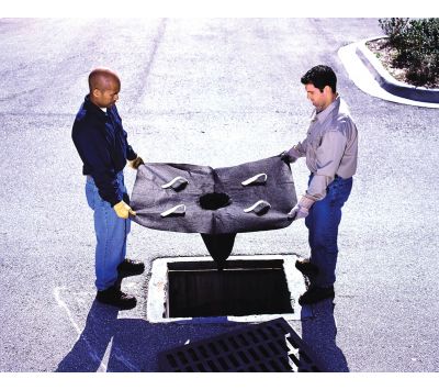 SWM1101.jpg SWM1101.jpg